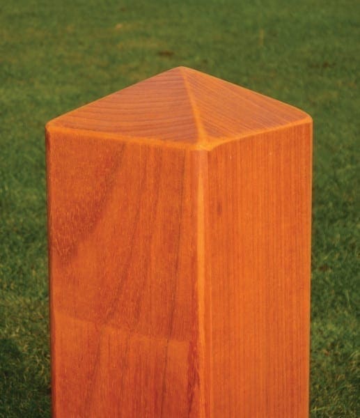 Palen